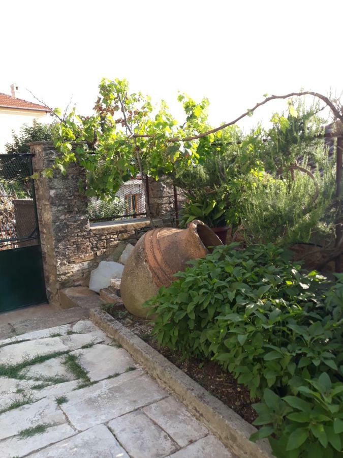 Atrium - Tatil Evi